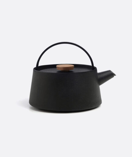 Iron kettle nambu tekki